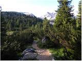 Rifugio Pederü - Rifugio Sennes